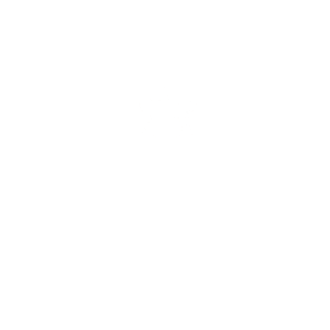 DomaineChâteauFauconLogo